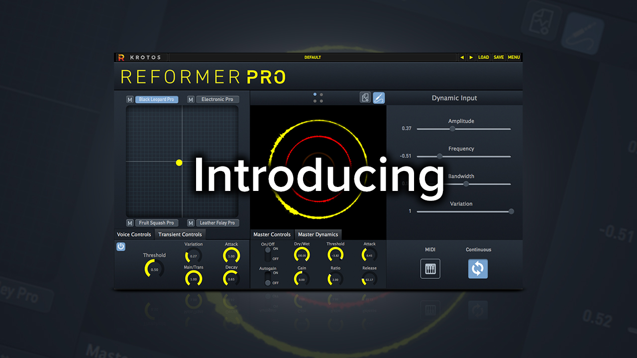Dynamic input. Virtual dynamics master rca. virtual dynamics master. dft pro.