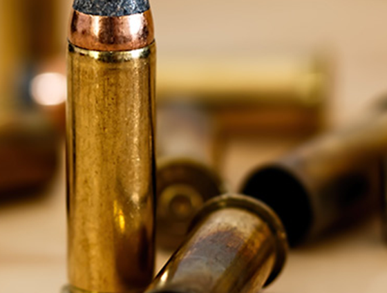 Ammo-&-Reloads-Library-Library