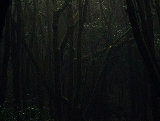 SoundBits Dark Ambiences Sound Effects Library