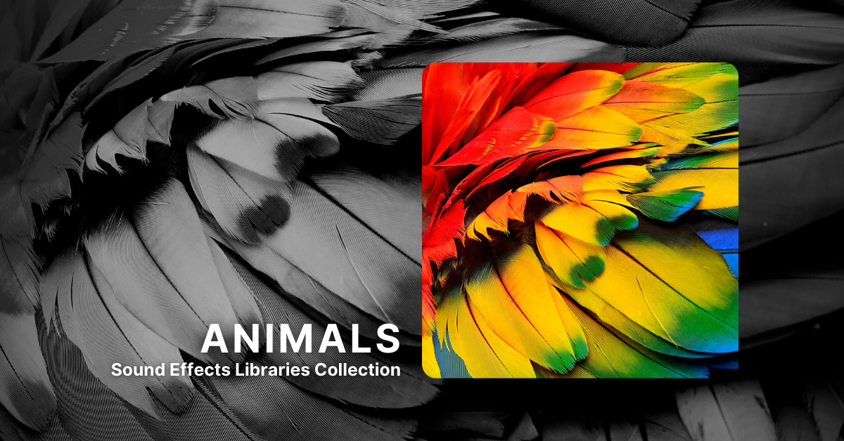 Animals Sound Effects Libraries Collection - Krotos