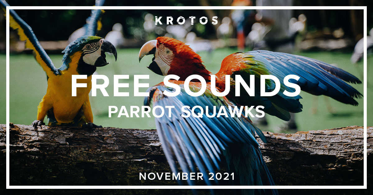 Free Parrots Sounds