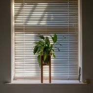 venetian blinds window white